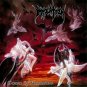IMMOLATION Dawn of Possession BANNER Huge 4X4 Ft Fabric Poster Tapestry Flag album cover art