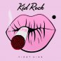 KID ROCK First Kiss BANNER Huge 4X4 Ft Fabric Poster Tapestry Flag Print album cover art