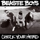 BEASTIE BOYS Check Your Head BANNER Huge 4X4 Ft Fabric Poster Tapestry Flag Print album cover art