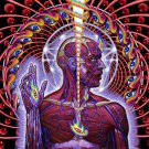 TOOL Lateralus BANNER Huge 4X4 Ft Fabric Poster Tapestry Flag Print album cover art