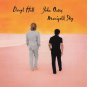 HALL & OATES Marigold Sky BANNER 3x3 Ft Fabric Poster Tapestry Flag album art