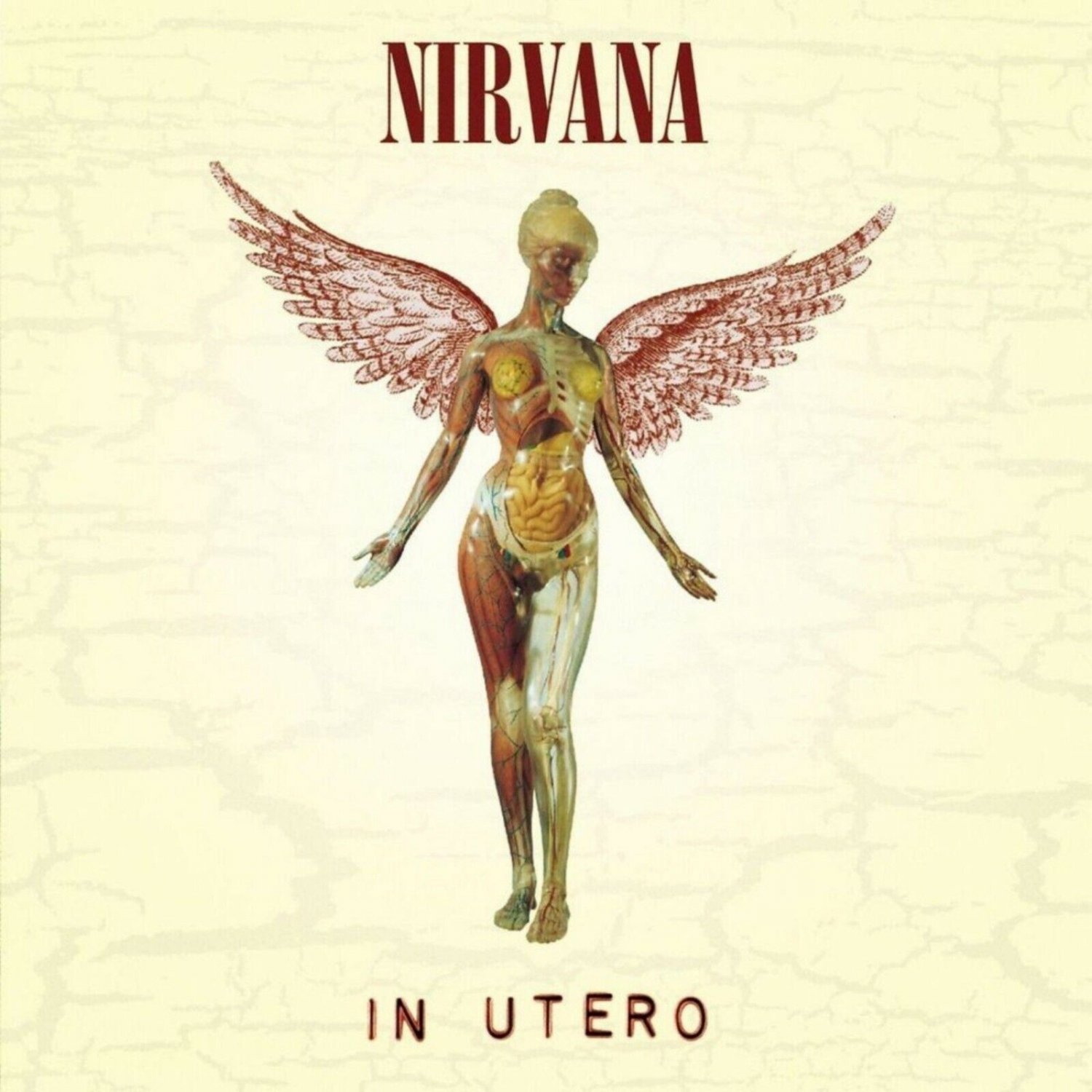 Nirvana In Utero Banner X Ft Fabric Poster Tapestry Flag Album Cover