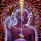TOOL Lateralus BANNER  2x2 Ft Fabric Poster Tapestry Flag album cover art sign