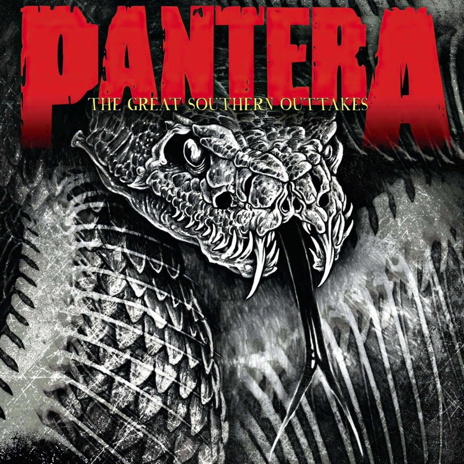 PANTERA The Great Southern Outtakes BANNER 2x2 Ft Fabric Poster Flag album cover