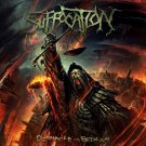 SUFFOCATION Pinnacle of Bedlam BANNER 2x2 Ft Fabric Poster Tapestry Flag art
