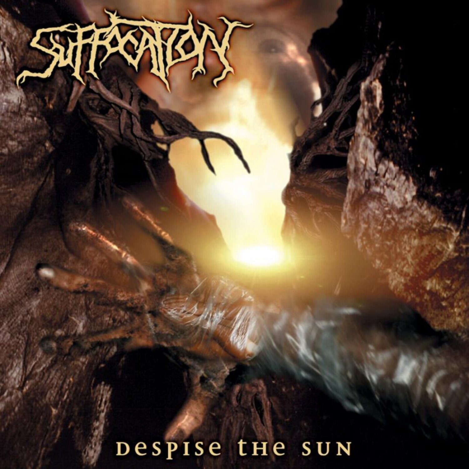 SUFFOCATION Despise The Sun BANNER 3x3 Ft Fabric Poster Tapestry Flag album art
