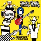 CHEAP TRICK Rockford BANNER 3x3 Ft Fabric Poster Tapestry Flag album cover art