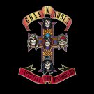 GUNS N ROSES Appetite For Destruction BANNER 2x2 Ft Fabric Poster Flag album art