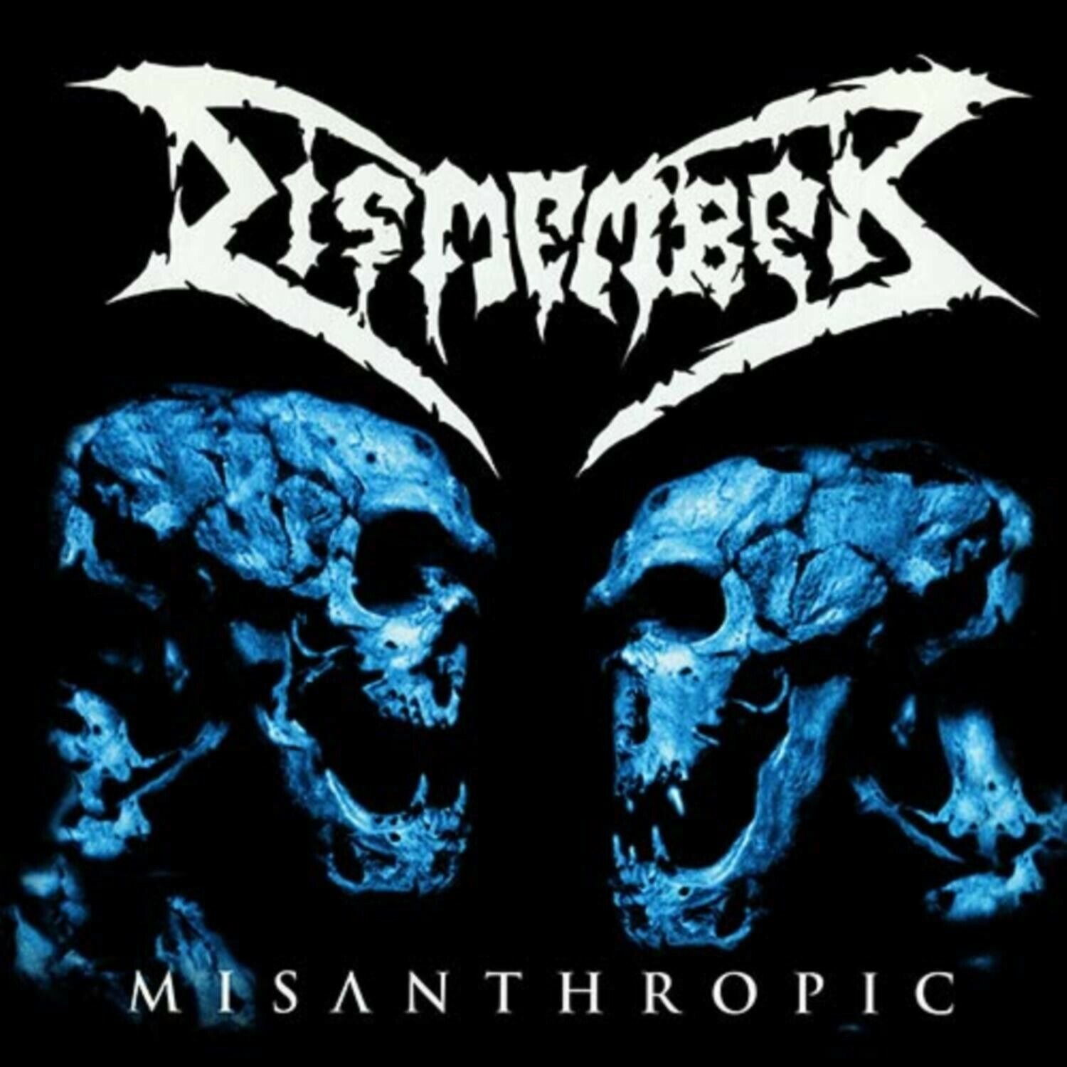DISMEMBER Misanthropic BANNER 3x3 Ft Fabric Poster Tapestry Flag album cover art