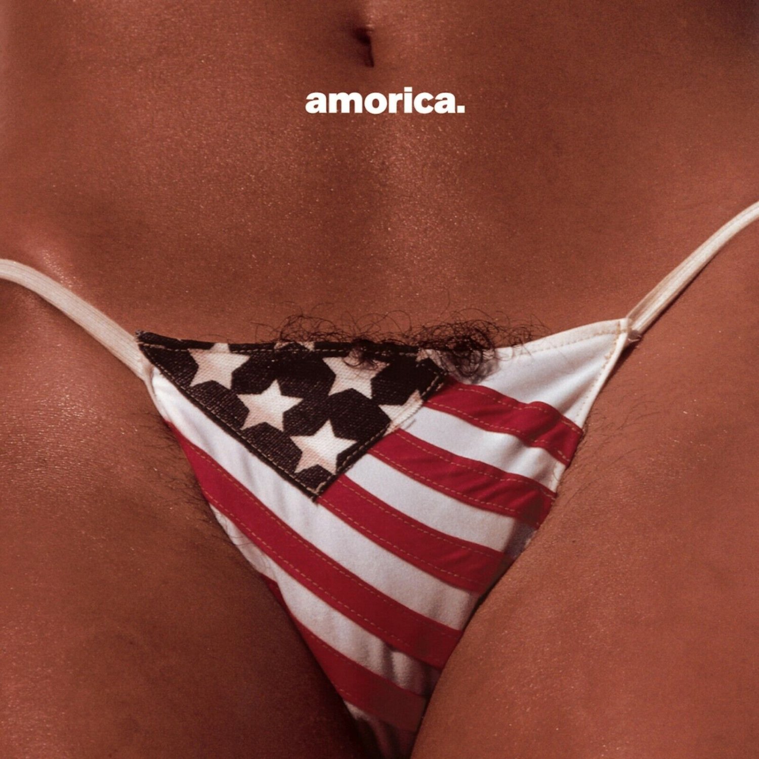 BLACK CROWES Amorica BANNER 2x2 Ft Fabric Poster Tapestry Flag album cover art