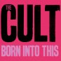 The CULT Born Into This BANNER 2x2 Ft Fabric Poster Tapestry Flag album art