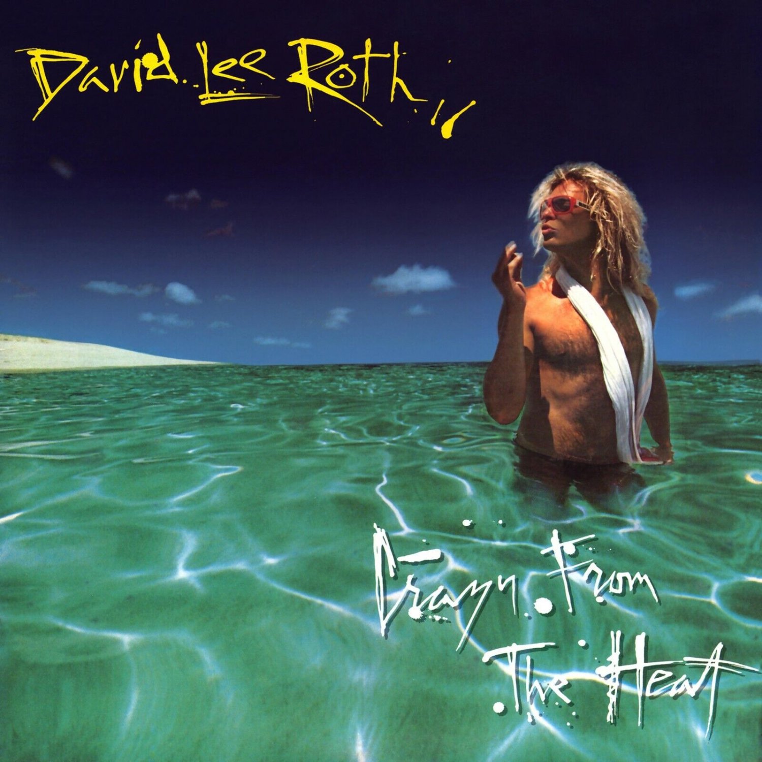 DAVID LEE ROTH Crazy from the Heat BANNER 3x3 Ft Fabric Poster Tapestry Flag art