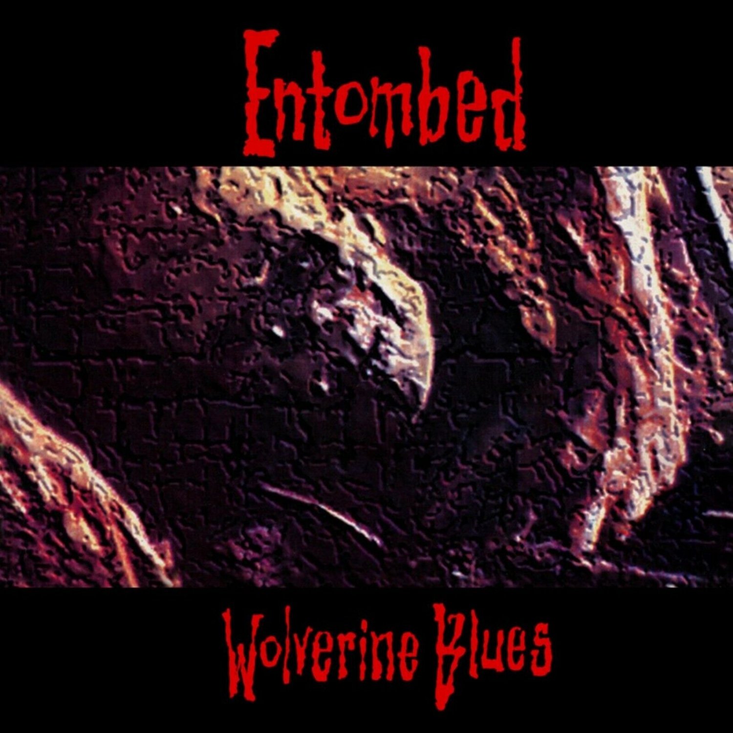 ENTOMBED Wolverine Blues BANNER 2x2 Ft Fabric Poster Tapestry Flag album art