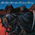 BLUE OYSTER CULT Some Enchanted Evening BANNER 2x2 Ft Fabric Poster Flag art