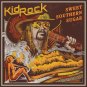 KID ROCK Sweet Southern Sugar BANNER 2x2 Ft Fabric Poster Tapestry Flag art