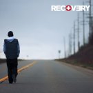 EMINEM Recovery BANNER 2x2 Ft Fabric Poster Tapestry Flag album cover art decor