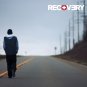 EMINEM Recovery BANNER 2x2 Ft Fabric Poster Tapestry Flag album cover art decor
