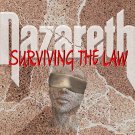 NAZARETH Surviving the Law BANNER 3x3 Ft Fabric Poster Tapestry Flag album art