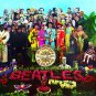 The BEATLES Sgt Peppers Lonely Hearts Club Band BANNER 3x3 Ft Fabric Poster Flag