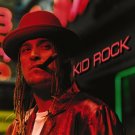 KID ROCK Devil Without a Cause BANNER 3x3 Ft  Fabric Poster Tapestry Flag art
