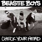 BEASTIE BOYS Check Your Head BANNER 3x3 Ft Fabric Poster Flag album cover art