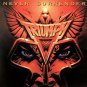 TRIUMPH Never Surrender BANNER HUGE 4X4 Ft Fabric Poster Tapestry Flag album art