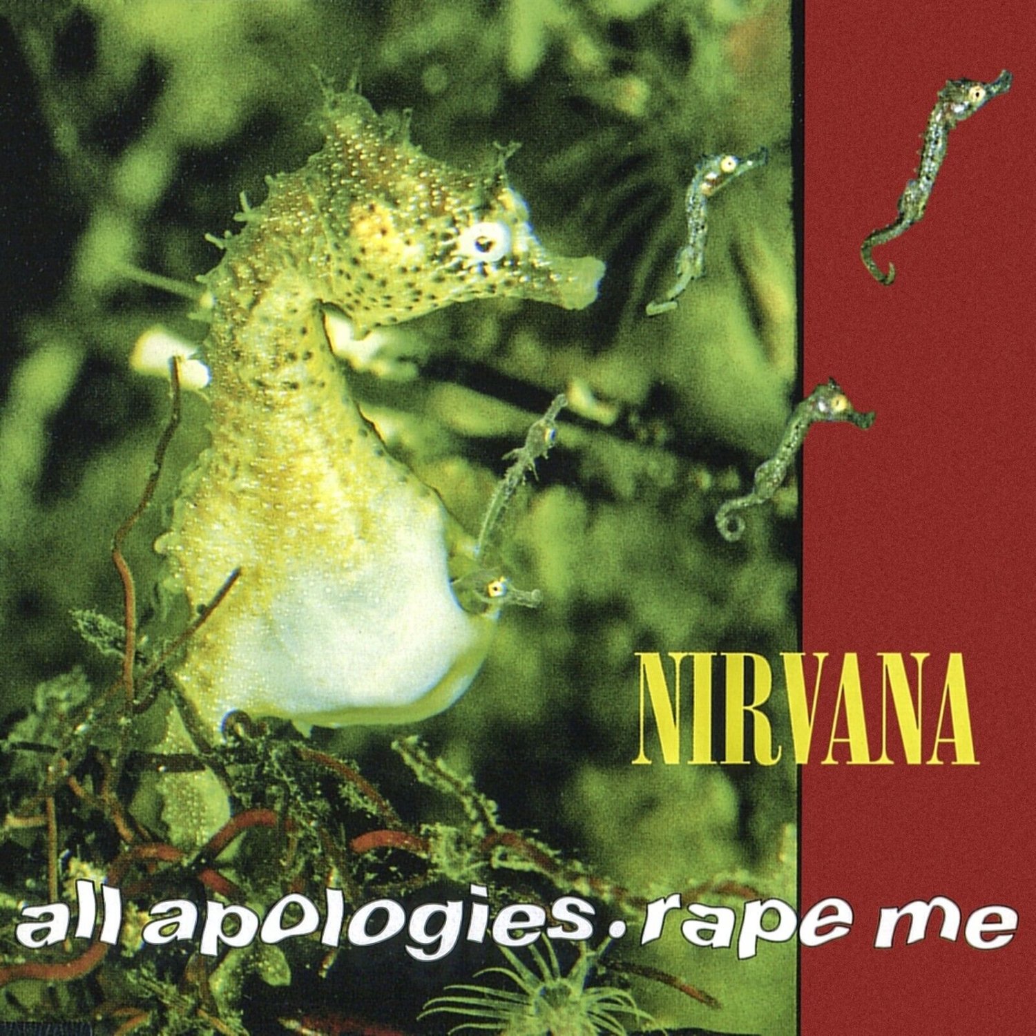 NIRVANA All Apologies / R*pe Me BANNER 2x2 Ft Fabric Poster Tapestry ...