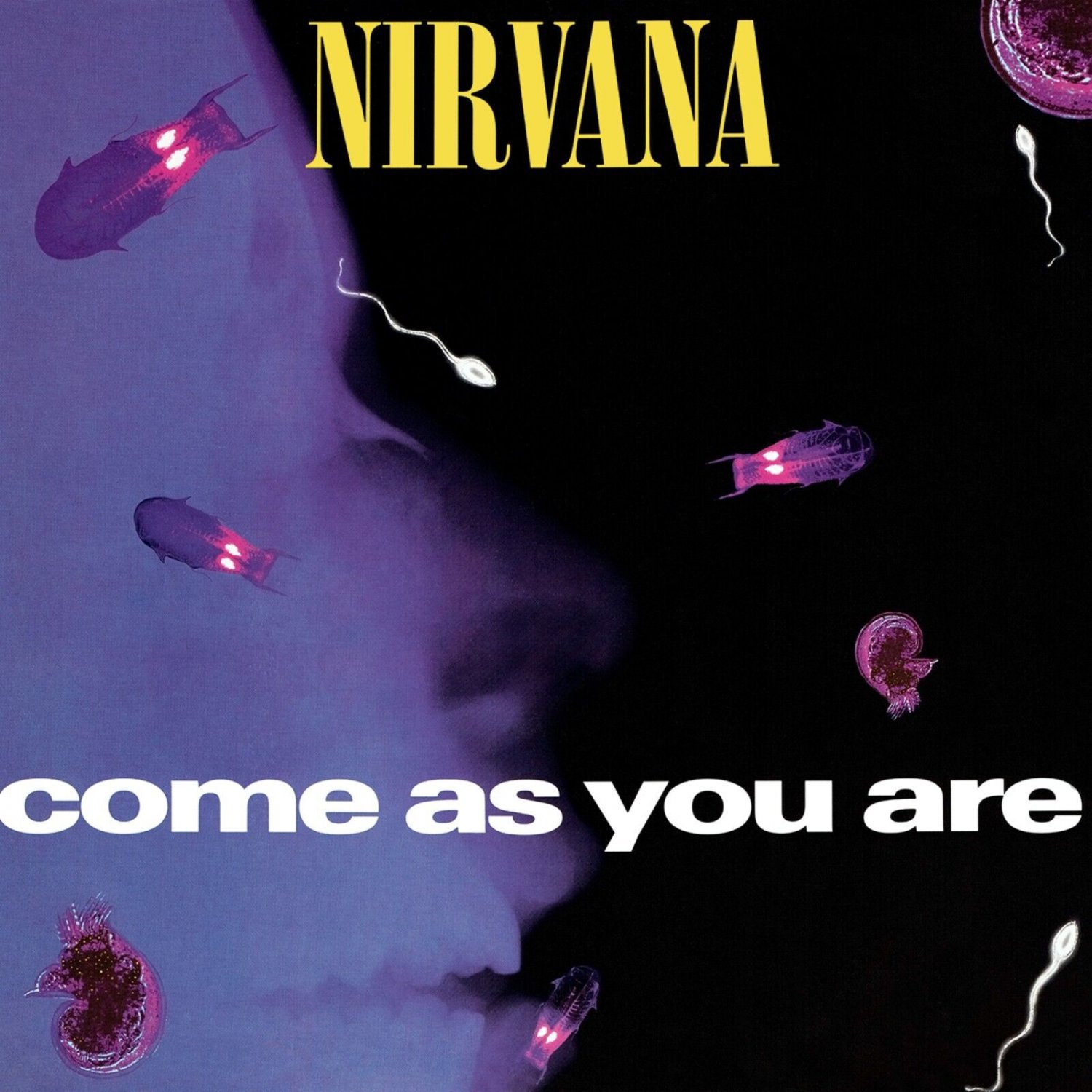 Из какого альбома песня. Nirvana come as you are. Нирвана come as you. Come as you are обложка. Nirvana come as you are Nevermind.