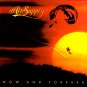 AIR SUPPLY Now and Forever BANNER HUGE 4X4 Ft Fabric Poster Tapestry Flag art