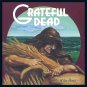 GRATEFUL DEAD Wake of the Flood BANNER HUGE 4X4 Ft Fabric Poster Tapestry Flag