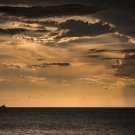 Lone Tug on the Gulf