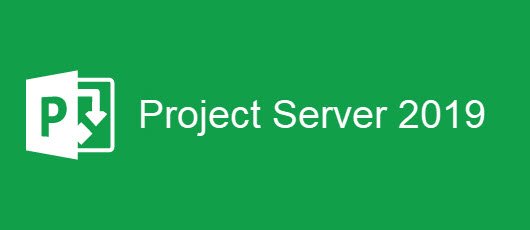 Проджект сервер. Project Server. Microsoft Project Server. Project 2019. Microsoft Office Project Server.