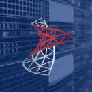 SQL Server 2019 Standard - Server License with 24 Cores, Unlimited CALs - Pre-pidded Media