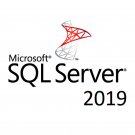 SQL Server 2019 Enterprise - Server License with 24 Cores, Unlimited CALs - Pre-pidded Media