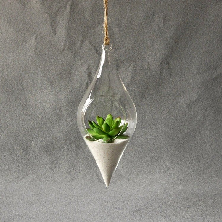 Clear Container Indoor Plant Vase