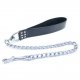 leash