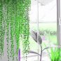 Rare Blue Pearl Chlorophytum Bonsai Desktop Flowers Succulents 200Pcs