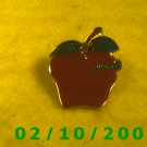 The Apple and the Worm Hat Pin
