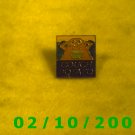 Couch Potato Hat Pin