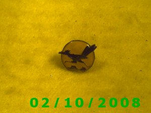 Road Runner Hat Pin