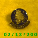 Anytime Baby Hat Pin