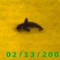 Killer Whale Hat Pin