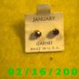 Earrings, Pierced Birthstone January USA.