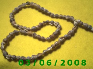 23" Shell Necklace (007)