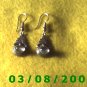 .925 Silver Earrings (013)