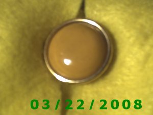 15/16" Button Cover Brass  (R001)
