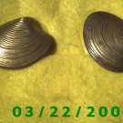 1 3/8 x 1 7/16" Gold Button Cover (Clam  (R009)