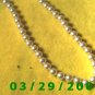17" Pearl Necklace (002)