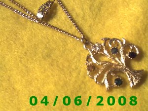Gold Necklace w/Charm    E5034