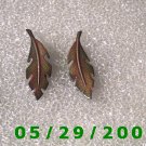 Feathers Clip On Earrings    D038